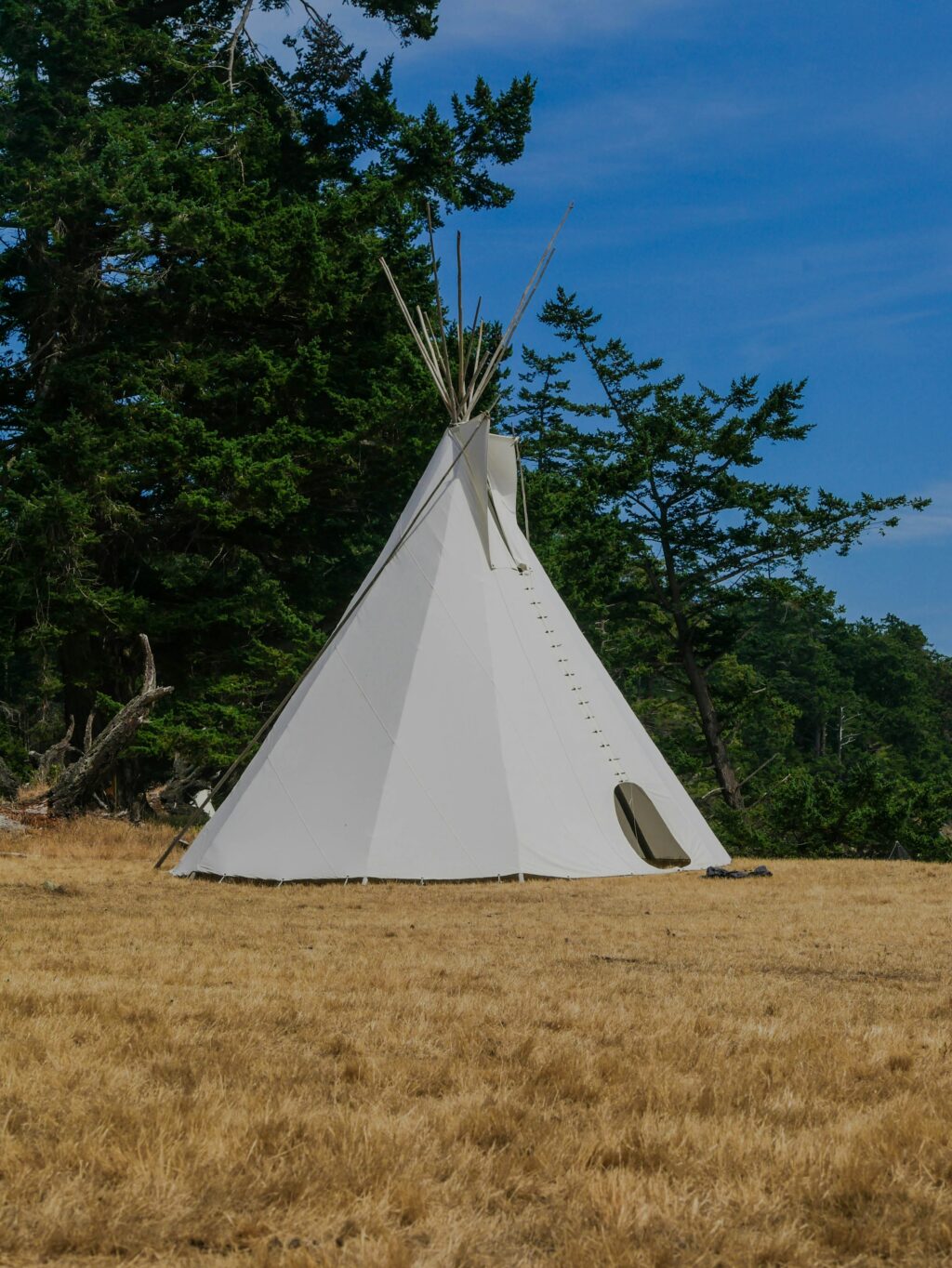 Weisses Tipi auf einer sonnenverbrannten Wiese am Waldrand unter blauem Himmel